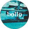 Bollo picture