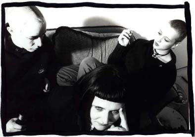 The Flamingo Massacres